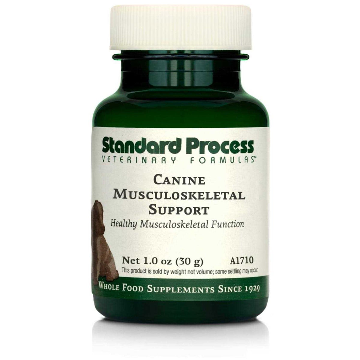 Canine Musculoskeletal Support Y87935