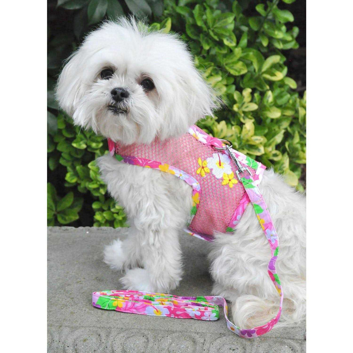 Cool Mesh Dog Harness with Leash E92852