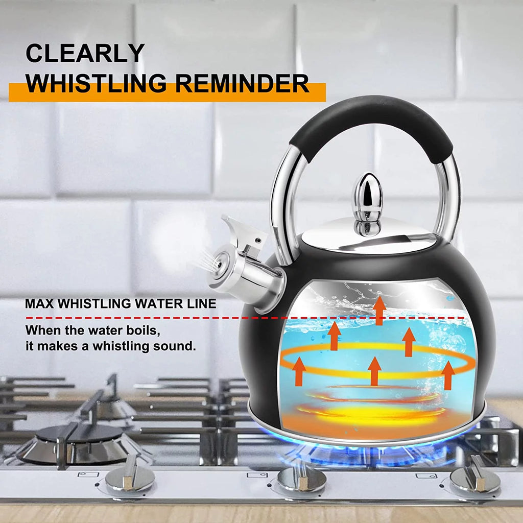 Stainless Steel Tea Kettle with Silicone Handle 3.2 Quart Black N12214
