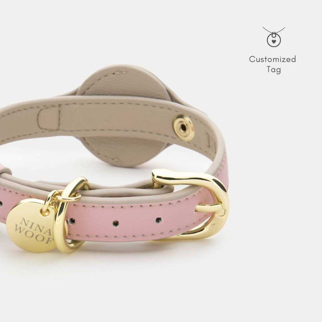 Dog Collar M73704