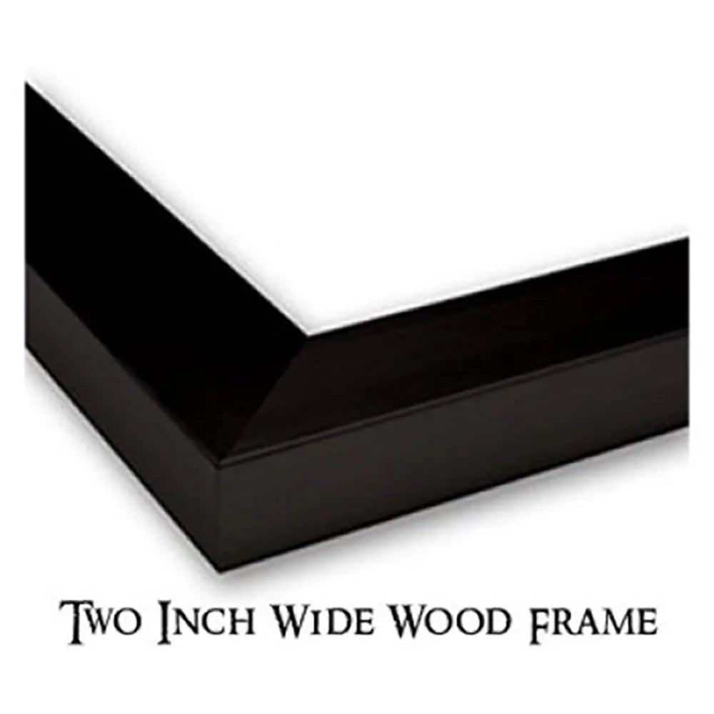 Black Modern Framed Museum Art Print L5647
