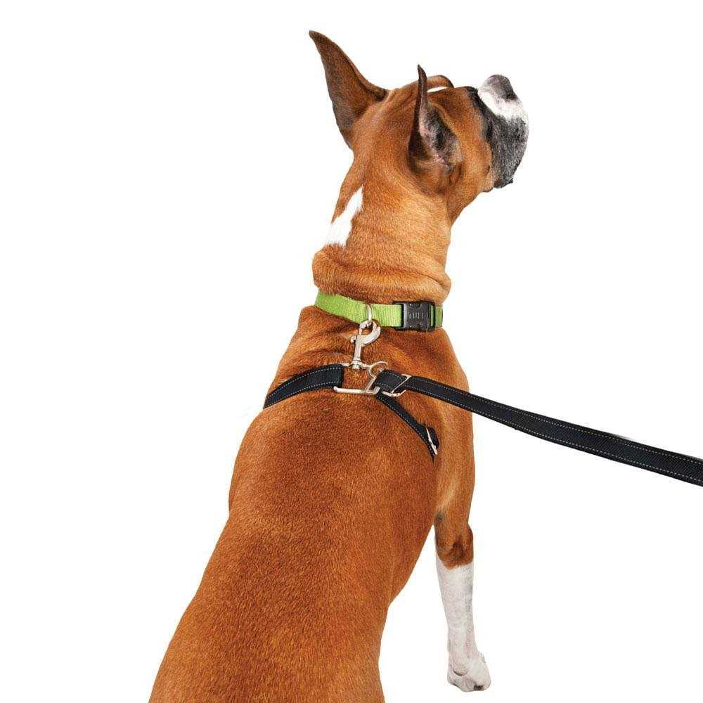 Retractable Dog Leash G67334