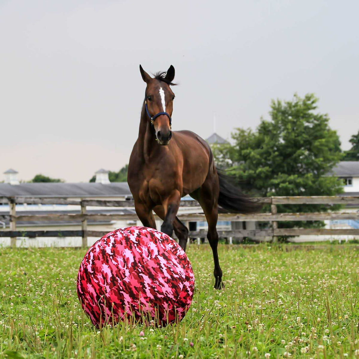 Mega Ball Cover B890