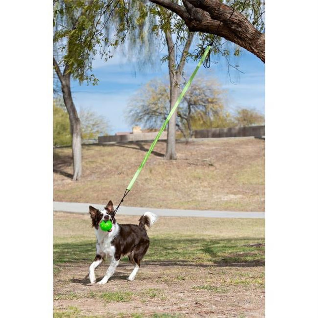 Green Large Tree Tugger Bungee S6311