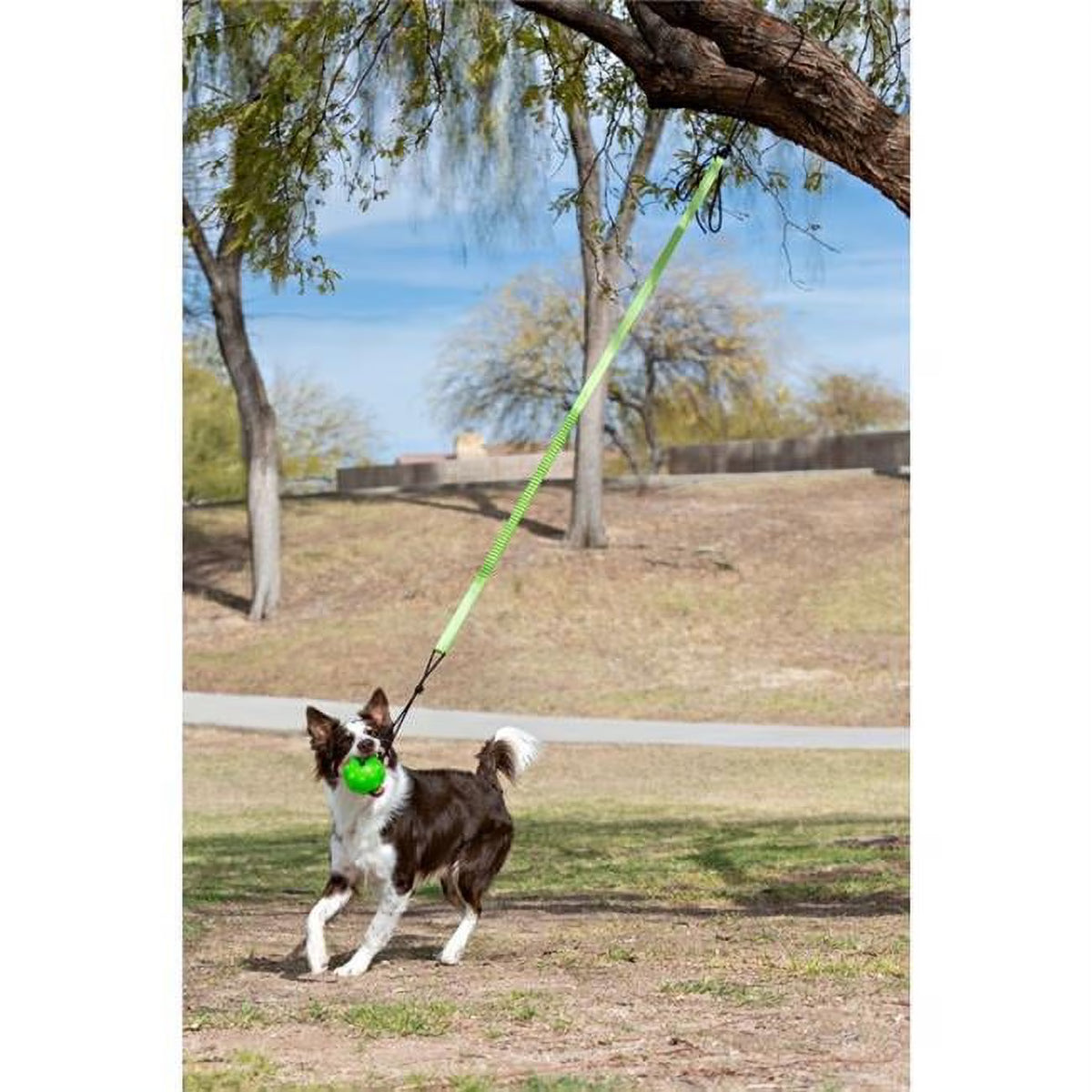 Green Large Tree Tugger Bungee S6311