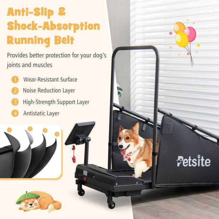 Indoor Pet Exercise Equipment with Remote Control L5796