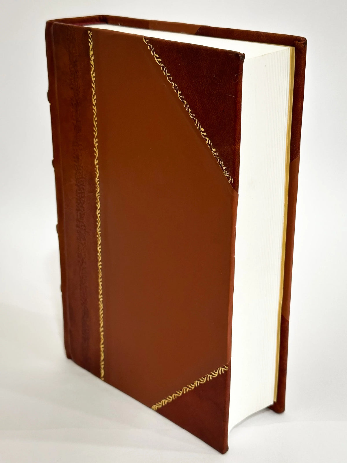 Illustrations of Dissections Leather Bound M708770