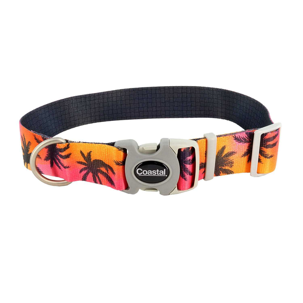 Adjustable Dog Collar B906921