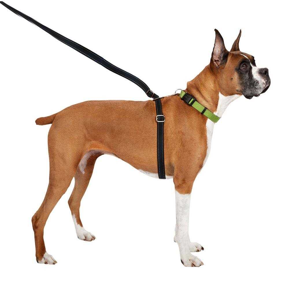Retractable Dog Leash G67334