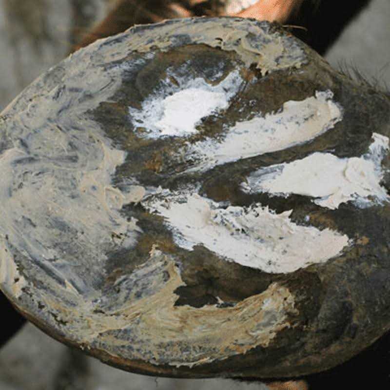 Hoof Clay 750g J86262