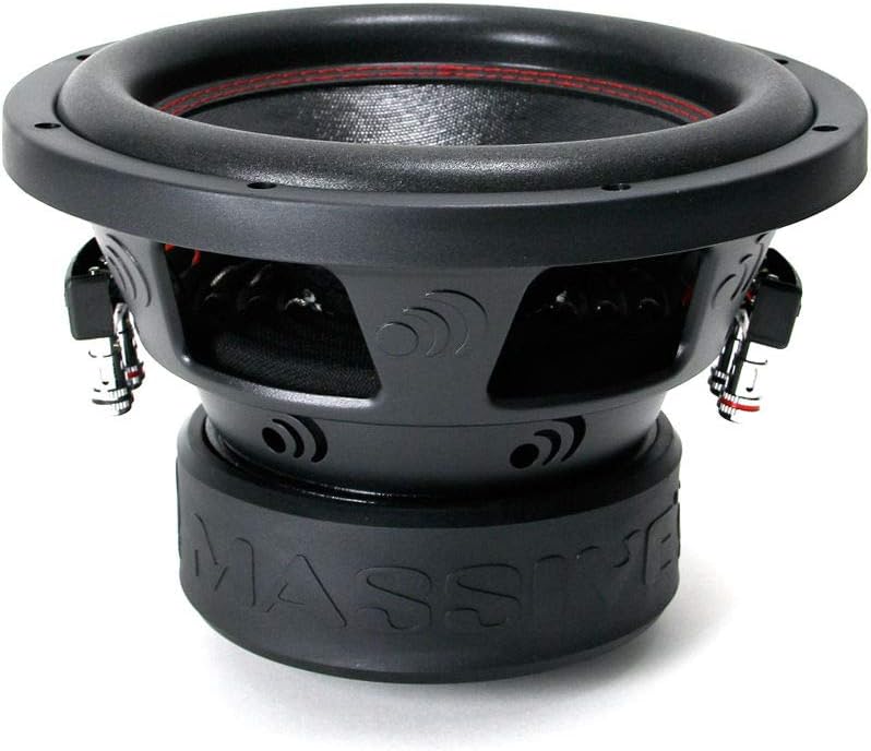 10 Inch 700 Watt RMS Dual 2 Ohm Car Audio Subwoofer X46963