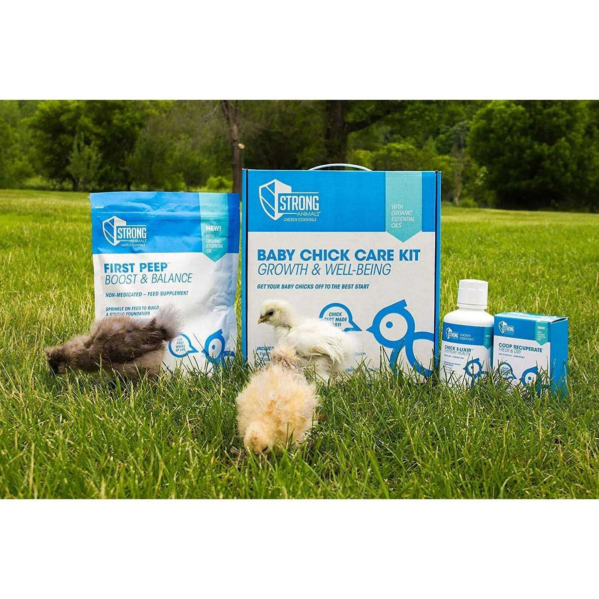 Baby Chick Care Kit O515