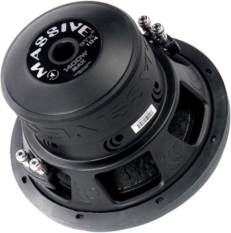 10 Inch 700 Watt RMS Dual 2 Ohm Car Audio Subwoofer X46963