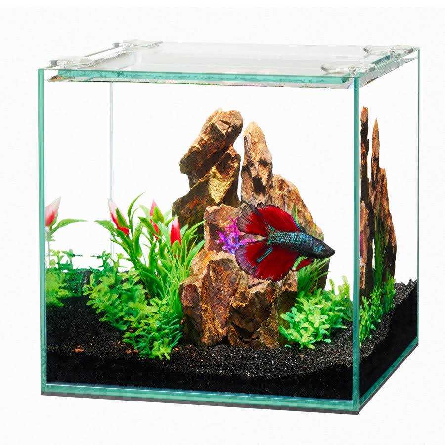 Frameless Cube Aquarium F8365