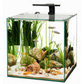 Frameless Cube Aquarium F8365