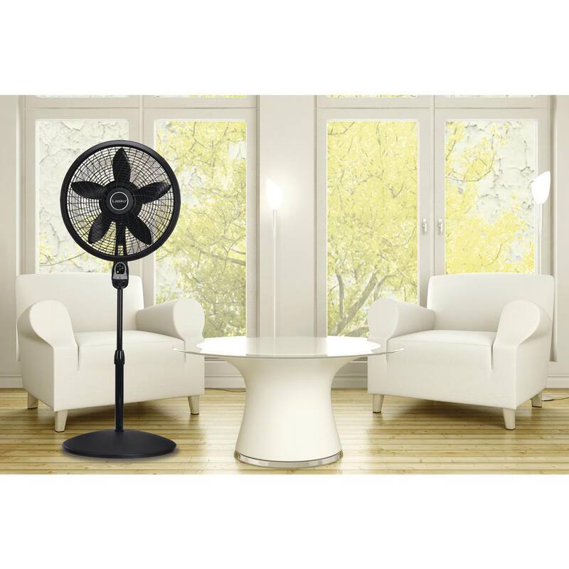 16 in. 3 Speed Oscillating Pedestal Fan with Adjustable Height in Black Y3894