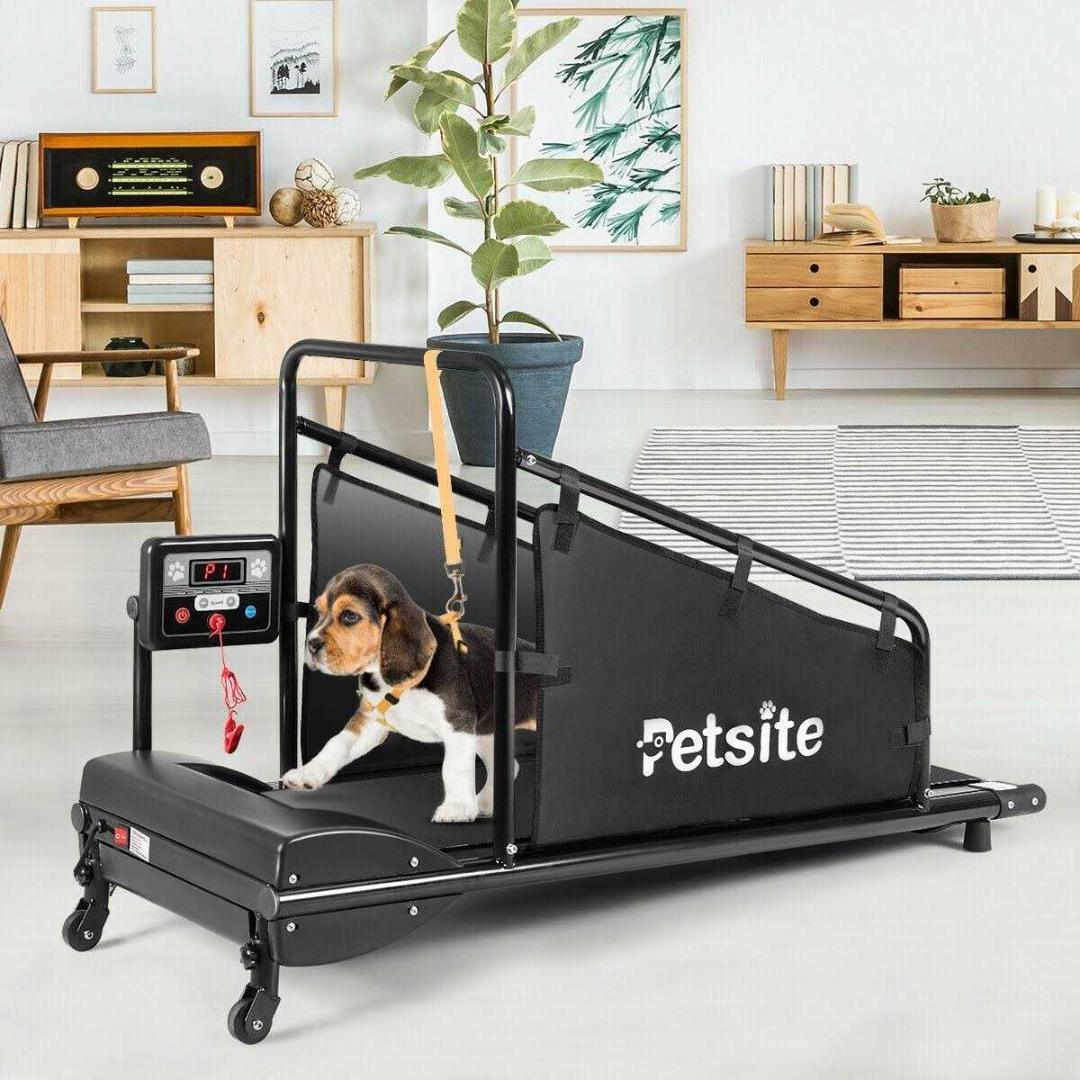 Indoor Pet Exercise Equipment with Remote Control L5796