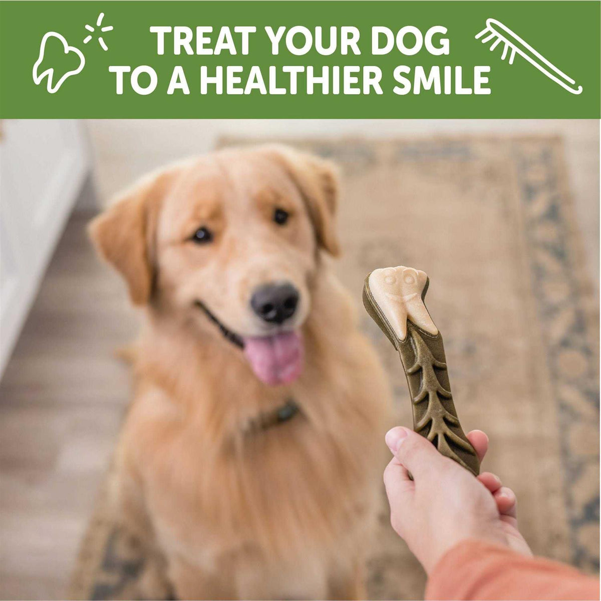 Large Natural Dental Dog Treats B309314