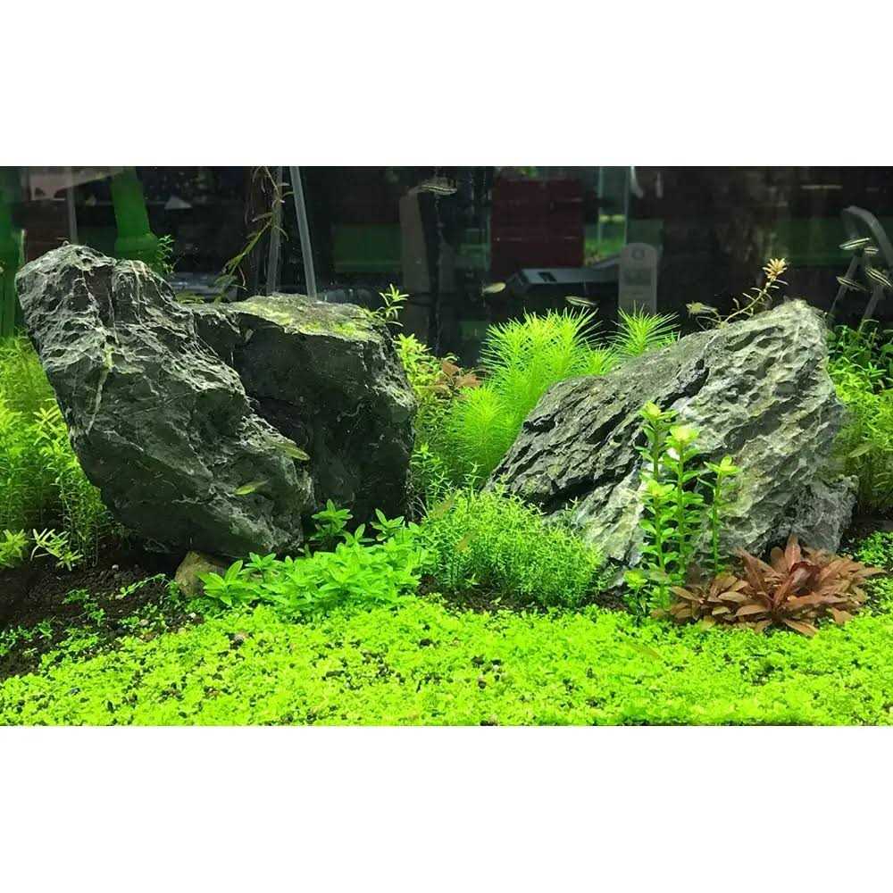 Seachem Flourish Tabs Y2447