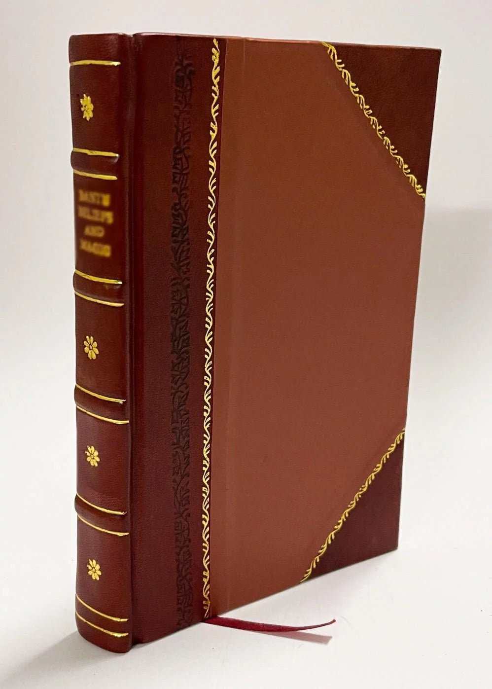 Illustrations of Dissections Leather Bound M708770