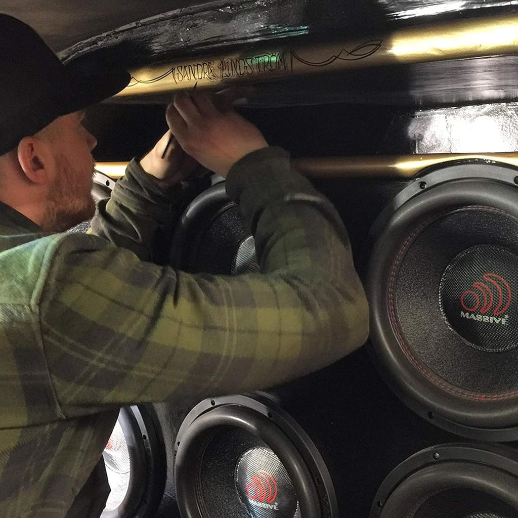 10 Inch 700 Watt RMS Dual 2 Ohm Car Audio Subwoofer X46963