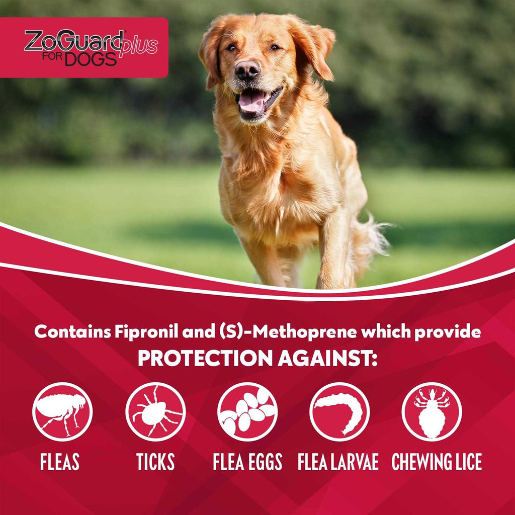 Dog Flea and Tick Treatment S873