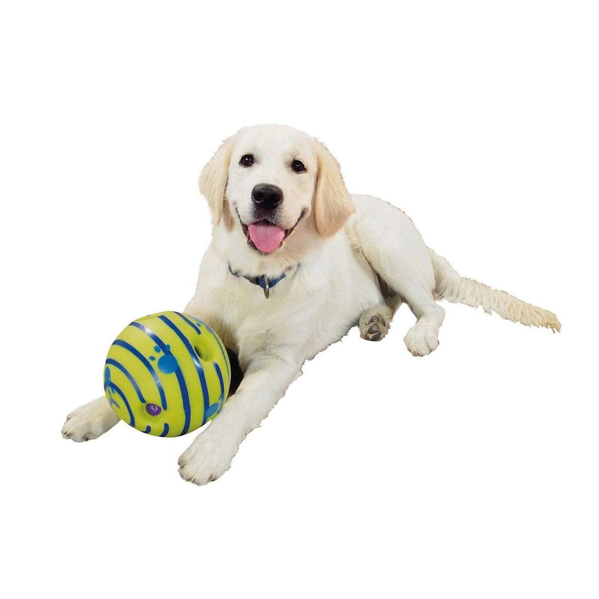 Dog Toy A1641