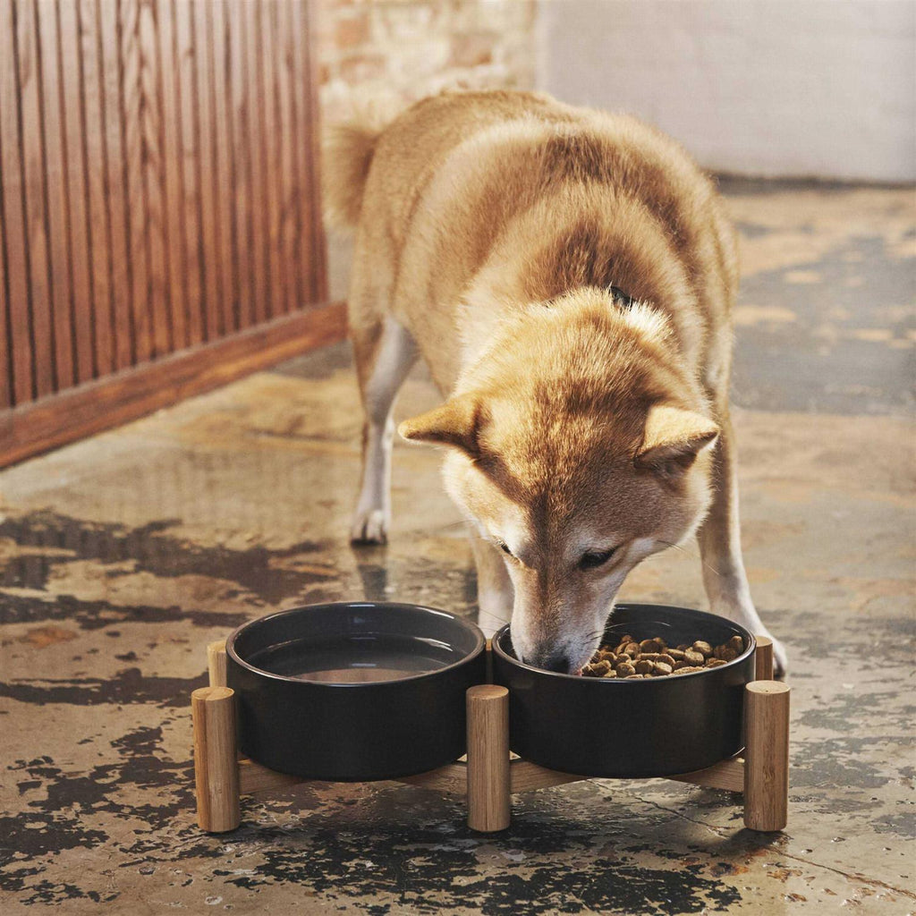 Black Ceramic Elevated Double Diner Pet Bowl V71584