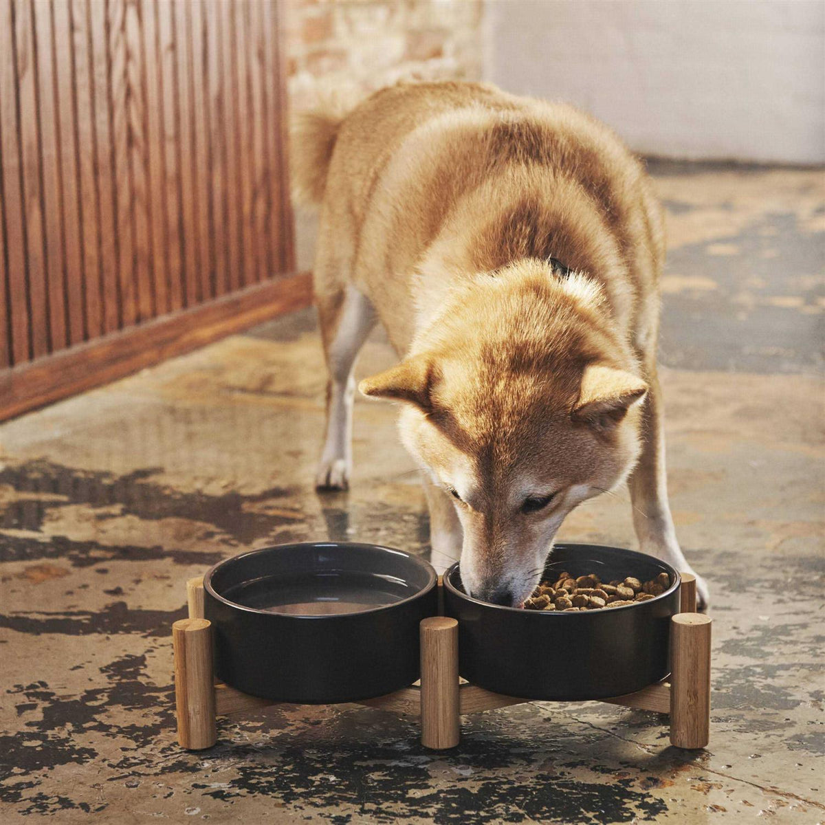 Black Ceramic Elevated Double Diner Pet Bowl V71584