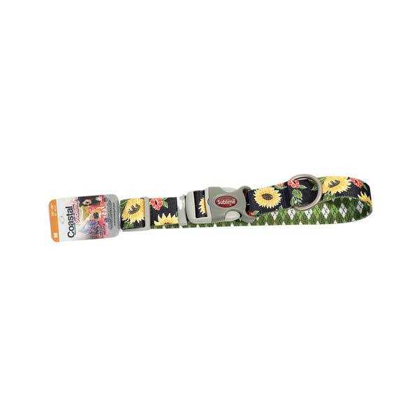 Adjustable Dog Collar B906921